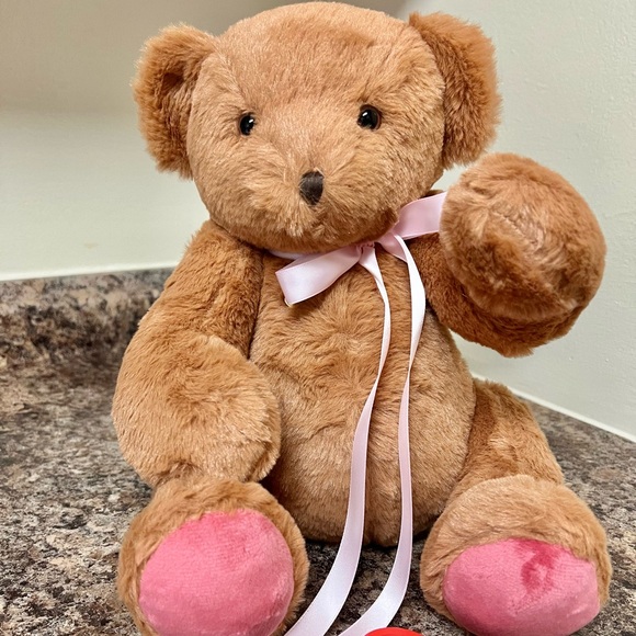 Adorable Bear with Voice Recorder NWT - Picture 2 of 9